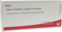 CITRUS E FRUCTIBUS/Cydonia e fructibus Ampullen