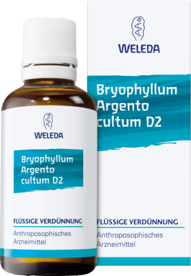BRYOPHYLLUM-ARGENTO-cultum-D-3-Dilution