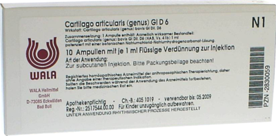 CARTILAGO articularis genus GL D 6 Ampullen