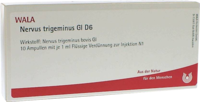 NERVUS TRIGEMINUS GL D 6 Ampullen