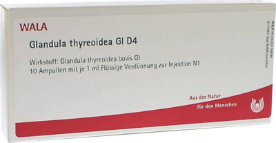 GLANDULA THYREOIDEA GL D 4 Ampullen