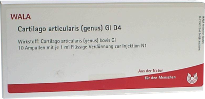 CARTILAGO-articularis-genus-GL-D-4-Ampullen