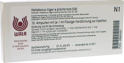 HELLEBORUS-NIGER-e-planta-tota-D-30-Ampullen
