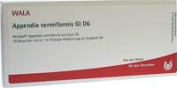 APPENDIX vermiformis GL D 6 Ampullen