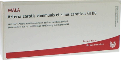 ARTERIA CAROTIS COMMUNIS et sin.carot.GL D 6 Amp.