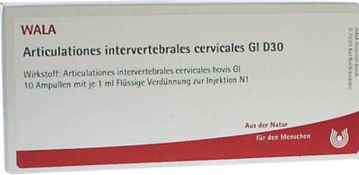 ARTICULATIONES intervertebral.cerv.GL D 30 Amp.