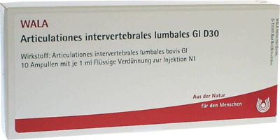 ARTICULATIONES intervertebral.lumb.GL D 30 Amp.
