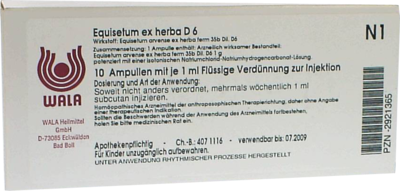 EQUISETUM EX Herba D 6 Ampullen