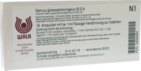 NERVUS GLOSSOPHARYNGEUS GL D 6 Ampullen