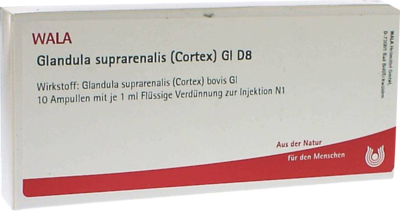 GLANDULA SUPRARENALIS cortex GL D 8 Ampullen