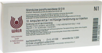 GLANDULAE PARATHYREOIDEAE GL D 8 Ampullen