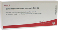 DISCI intervertebrales cervicales GL D 5 Ampullen