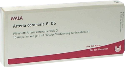 ARTERIA CORONARIA GL D 5 Ampullen