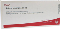 ARTERIA CORONARIA GL D 8 Ampullen