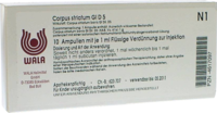 CORPUS STRIATUM GL D 5 Ampullen