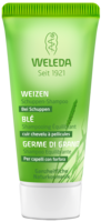 WELEDA-Weizen-Schuppen-Shampoo