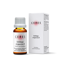 CERES Solidago virgaurea Urtinktur