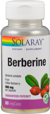 BERBERIN 500 mg Kapseln