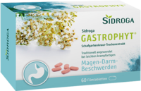 SIDROGA GastroPhyt 250 mg Filmtabletten