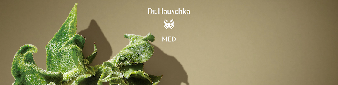 Dr. Hauschka Logo mit gelben Blüten