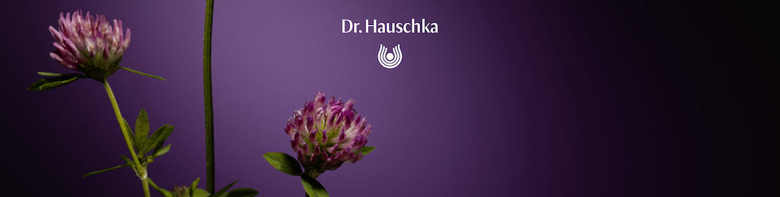 Dr. Hauschka Logo mit gelben Blüten