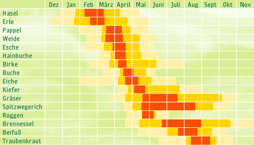 Pollenflugkalender