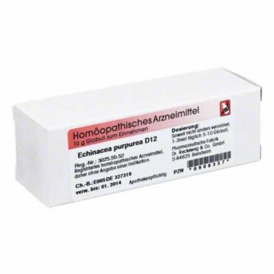 ECHINACEA PURPUREA D 12 Globuli