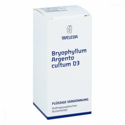 BRYOPHYLLUM ARGENTO cultum D 3 Dilution