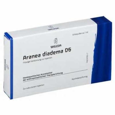 ARANEA DIADEMA D 6 Ampullen