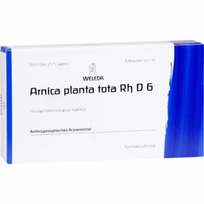 ARNICA PLANTA tota Rh D 6 Ampullen