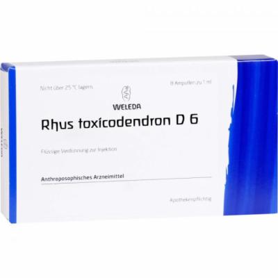 RHUS TOXICODENDRON D 6 Ampullen