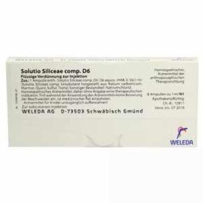 SOLUTIO SILICEAE comp.D 6 Ampullen