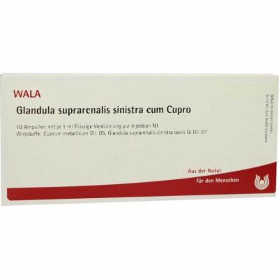 GLANDULA SUPRARENALIS sinistra cum Cupro Ampullen