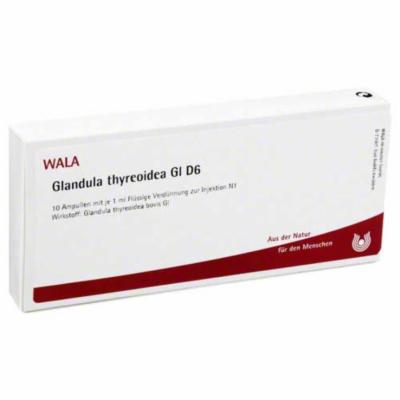 GLANDULA THYREOIDEA GL D 6 Ampullen