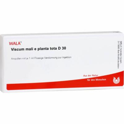 VISCUM MALI e planta tota D 30 Ampullen