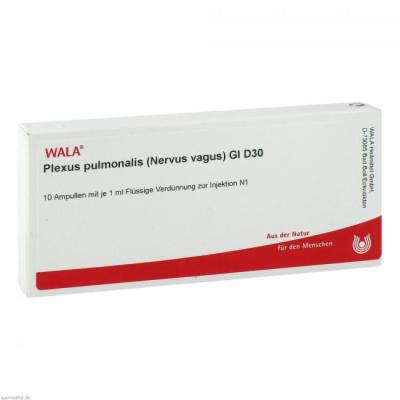 PLEXUS PULMONALIS Nervus vagus GL D 30 Ampullen
