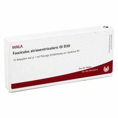 FASCICULUS atrioventricularis GL D 30 Ampullen