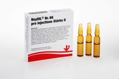 NEYDIL Nr.66 pro injectione St.2 Ampullen