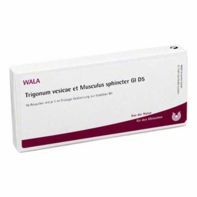 TRIGONUM vesicae et Musculus sphincter GL D 5 Amp.