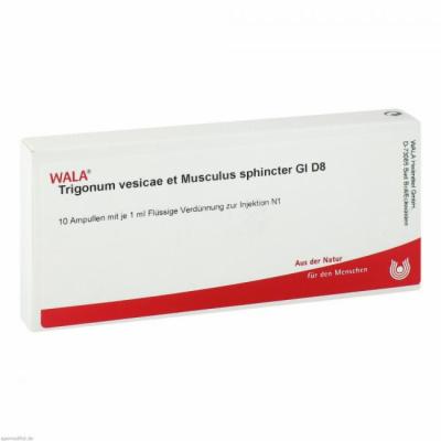 TRIGONUM vesicae et Musculus sphincter GL D 8 Amp.