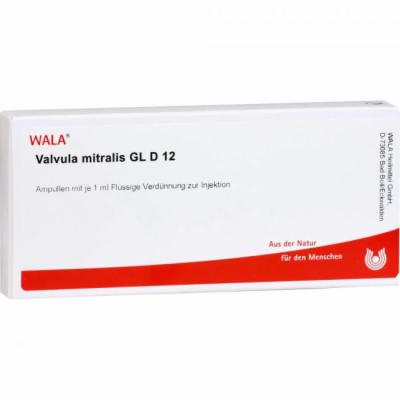 VALVULA mitralis GL D 12 Ampullen