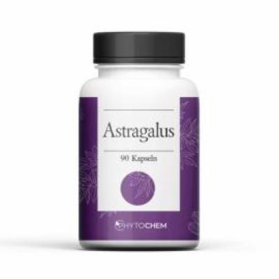 ASTRAGALUS EXTRAKT 500 mg Kapseln