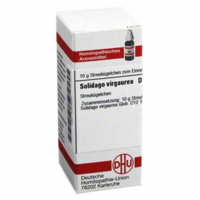 SOLIDAGO VIRGAUREA C 12 Globuli