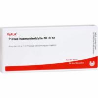 PLEXUS HAEMORRHOIDALIS GL D 12 Ampullen