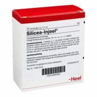 SILICEA INJEEL Ampullen
