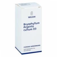 BRYOPHYLLUM ARGENTO cultum D 3 Dilution