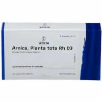 ARNICA PLANTA tota Rh D 3 Ampullen