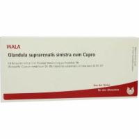 GLANDULA SUPRARENALIS sinistra cum Cupro Ampullen