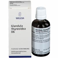 GLANDULA THYREOIDEA D 6 Dilution