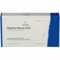 VIPERA BERUS D 12 Ampullen